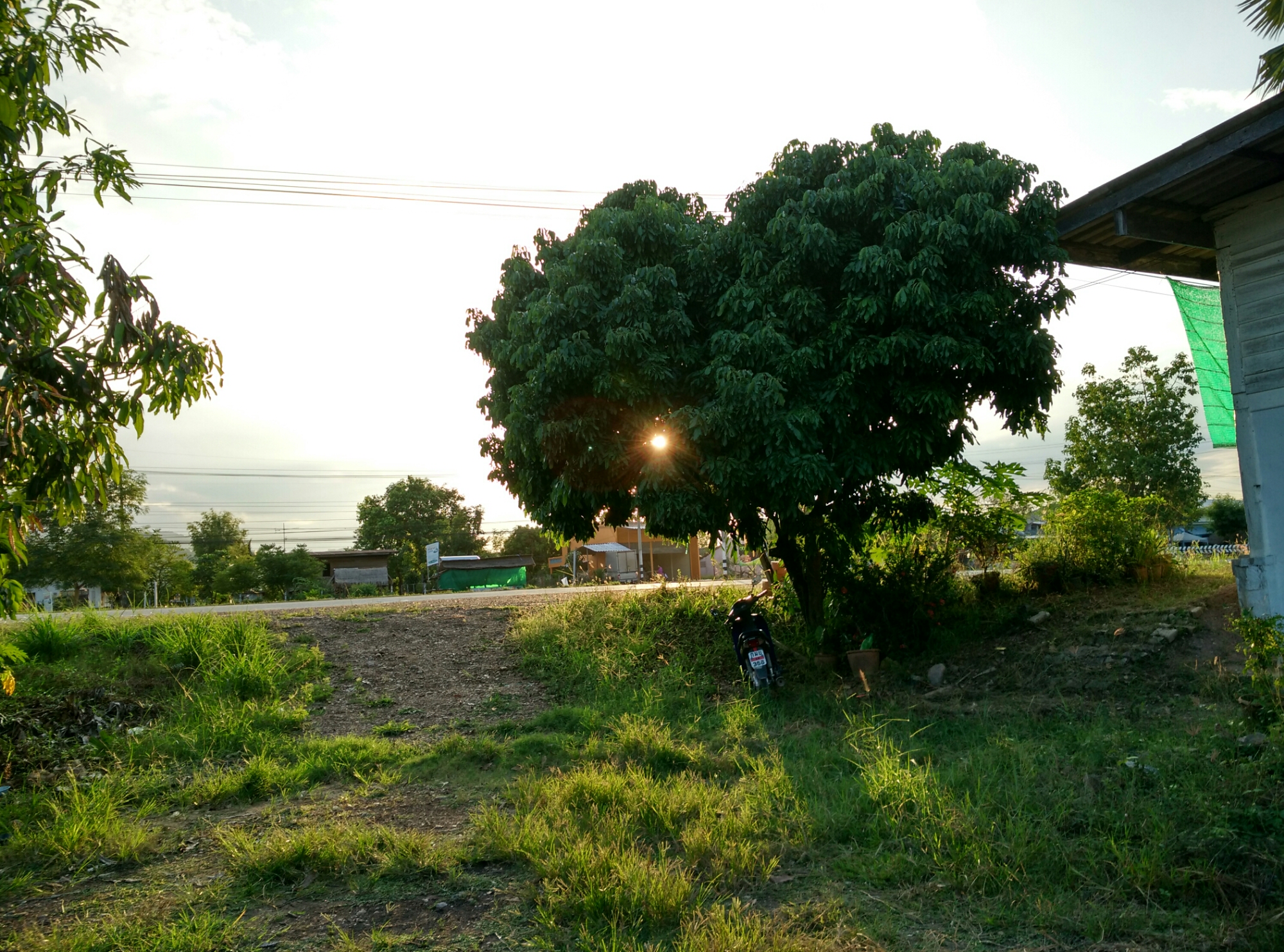 IMG_20151205_171030_HDR.jpg image